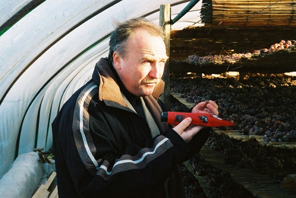 Willi with his gizmo again &copy; AJ Stevenson